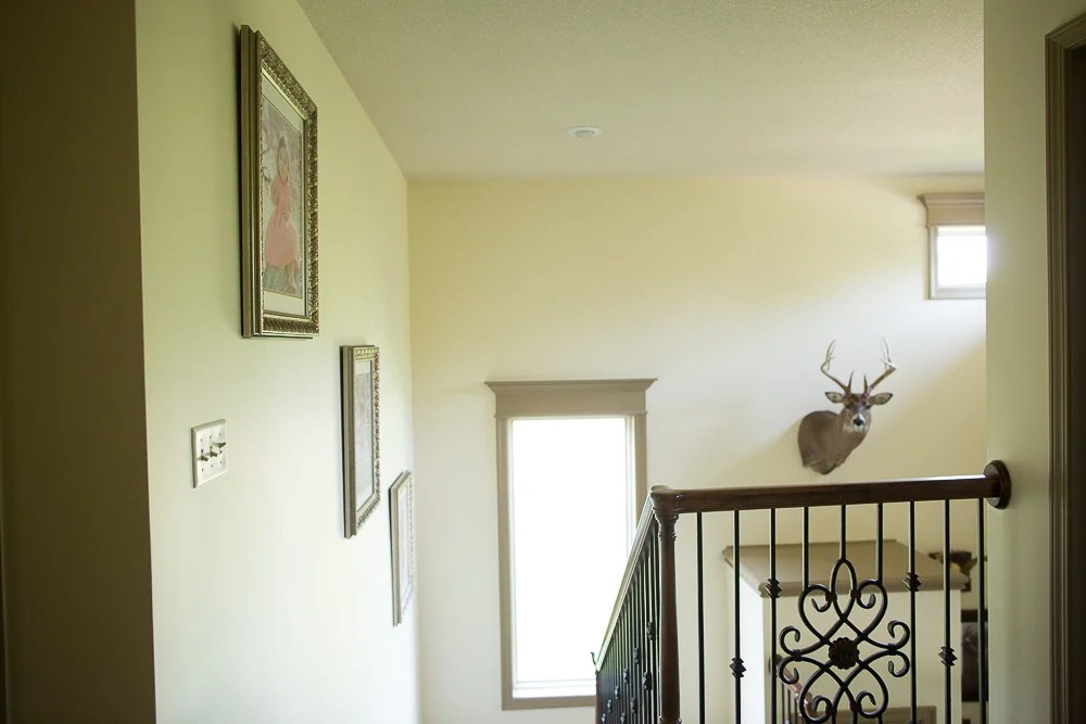 How to Frame Your Own Pictures Inexpensively with Open Back Frames