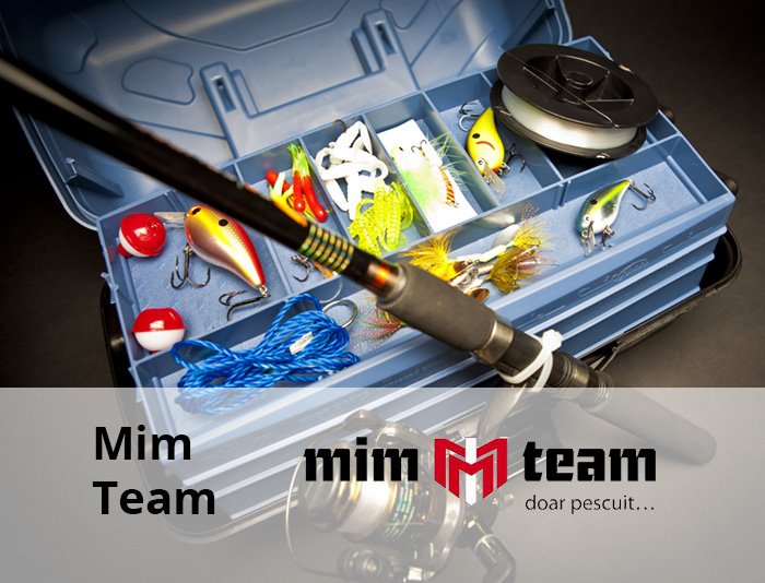 Mim Team Client Senior Software 450+ Implementari