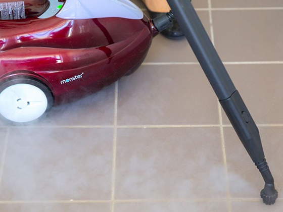 Monster steam cleaners Sensitive Choice