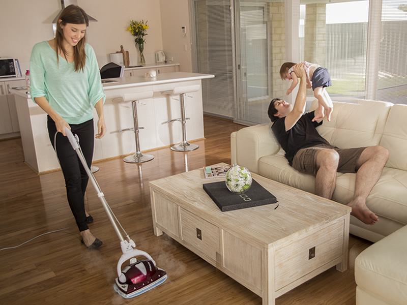 Monster steam mops by Euroflex Sensitive Choice