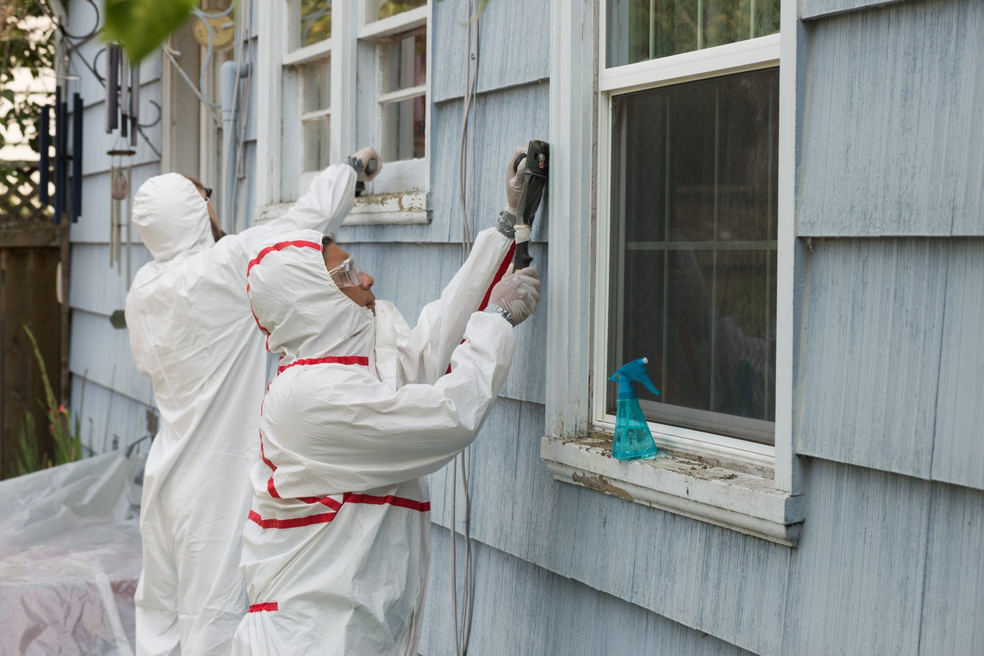 What Does LeadBased Paint Look Like? Sensitive Environmental