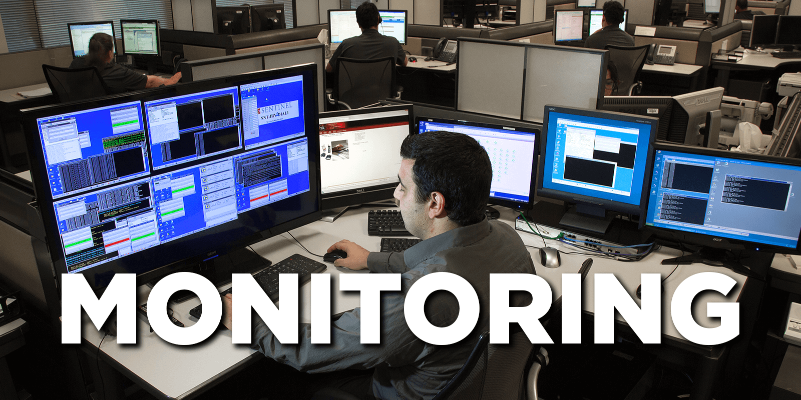 Sentinel Offender Monitoring Services