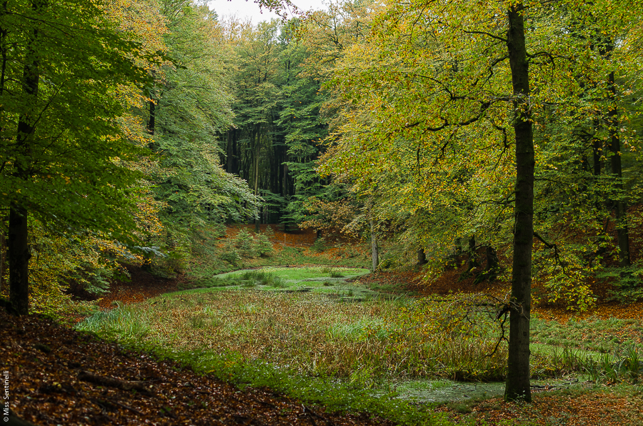 Speulderbos