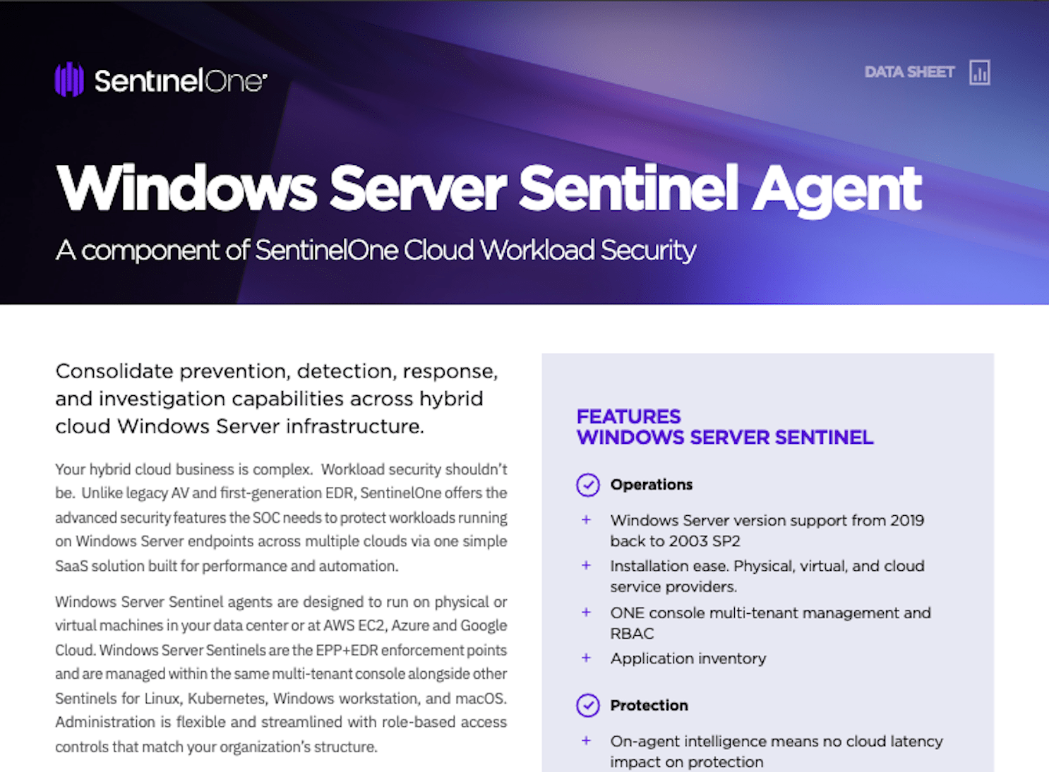 Windows Server Sentinel Agent SentinelOne