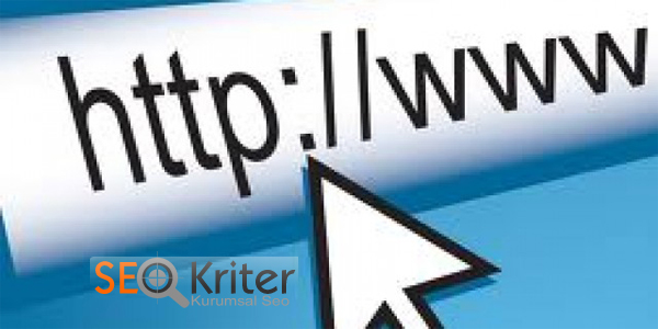 Domain Drop ve İndex Silinmesi