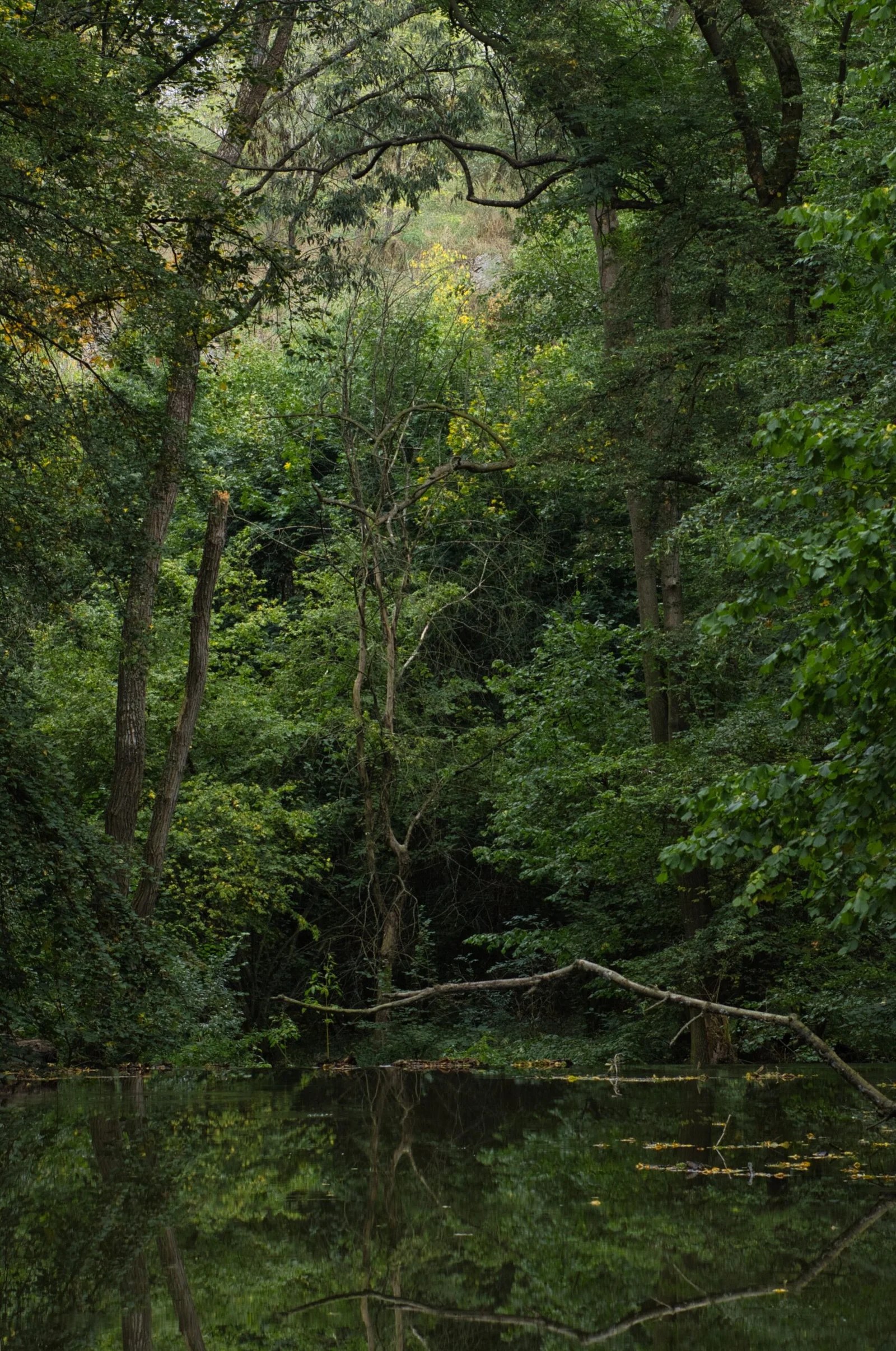 Can I Use A Septic System With A Water Softener? Septic Tank Servicing