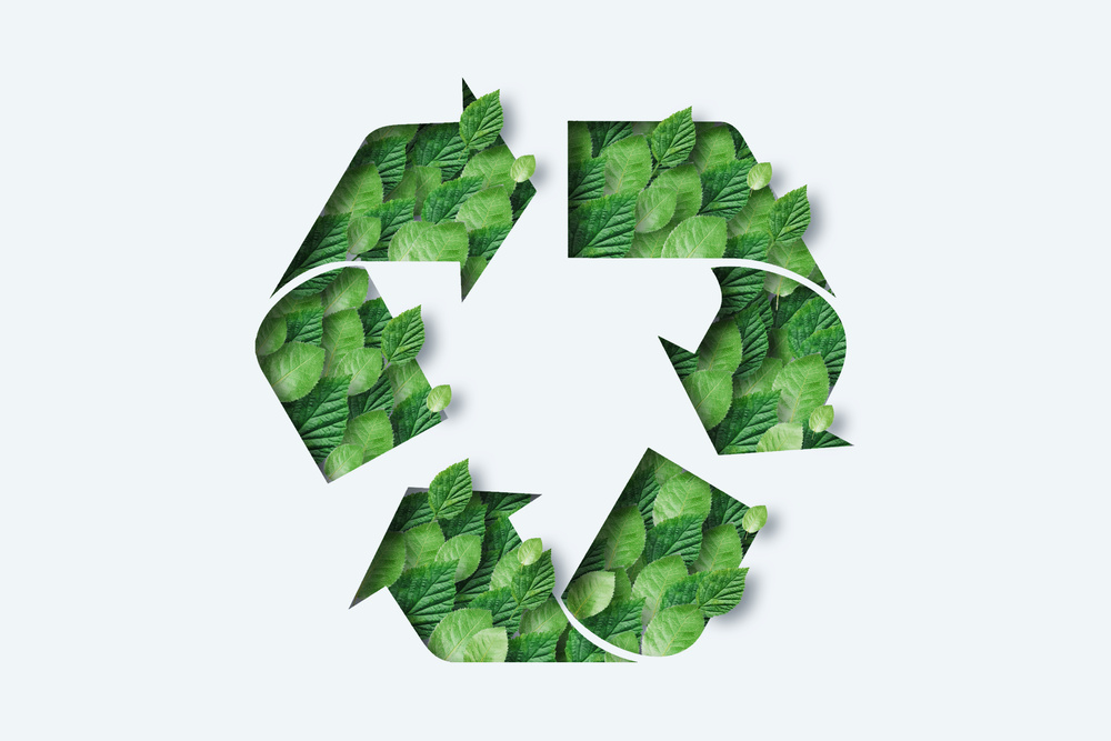 Is ReLooping Better than Plastic Recycling? Seraphim Plastics