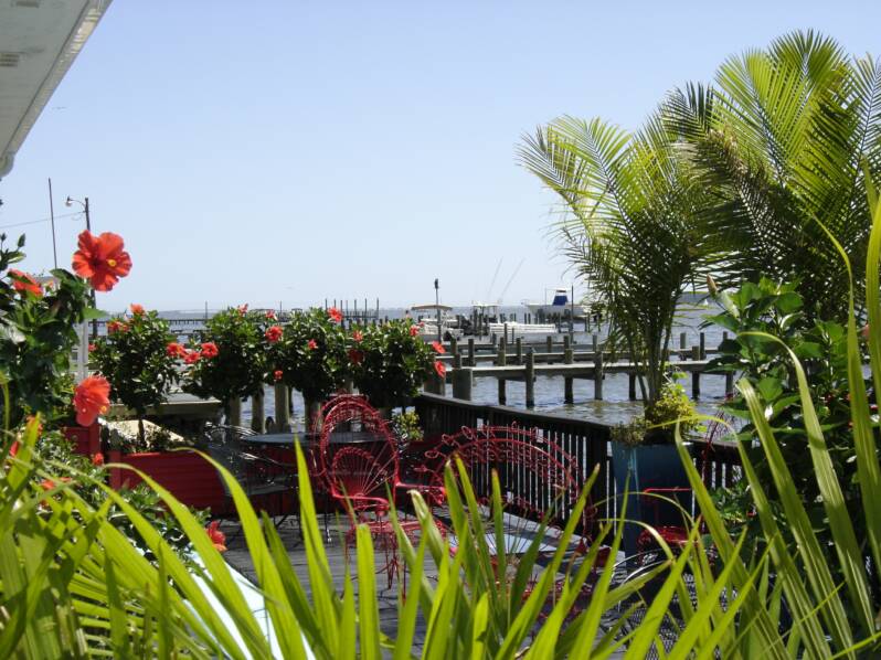 Zillow Oak Orchard De at Adrienne Doyle blog