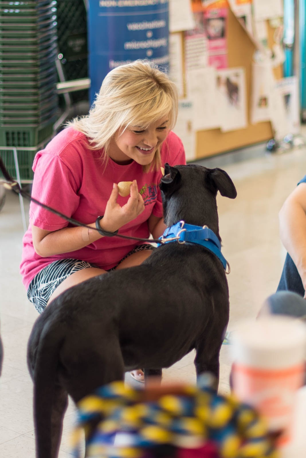 Pet Supplies Plus adoption event on Aug 16, 2015
