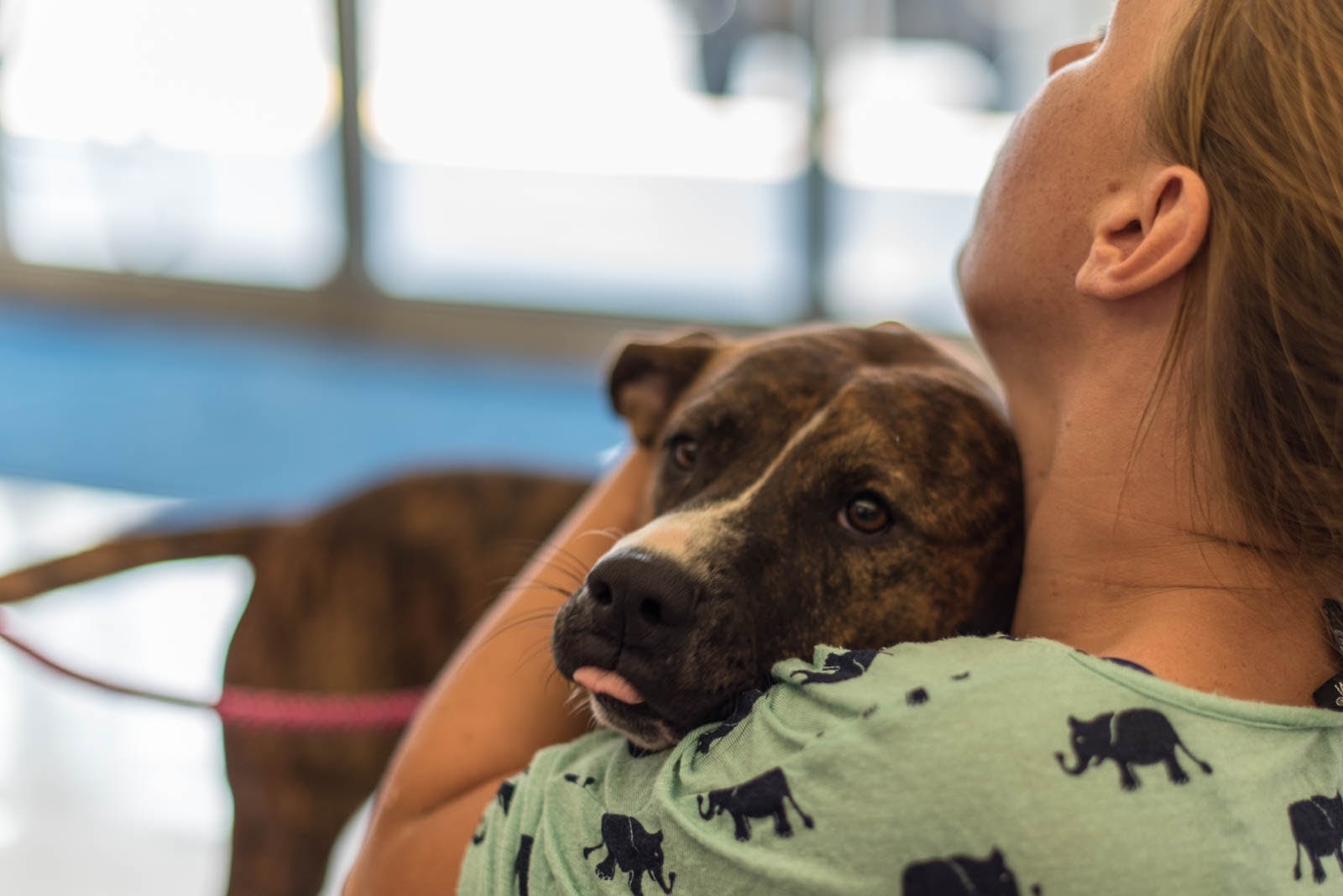 Pet Supplies Plus adoption event on Aug 16, 2015, Part 2