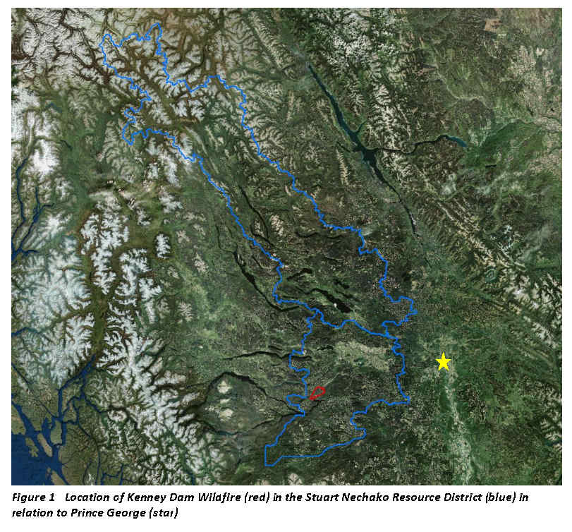Kenney Dam Ecosystem Restoration SERNbc Society for Ecosystem