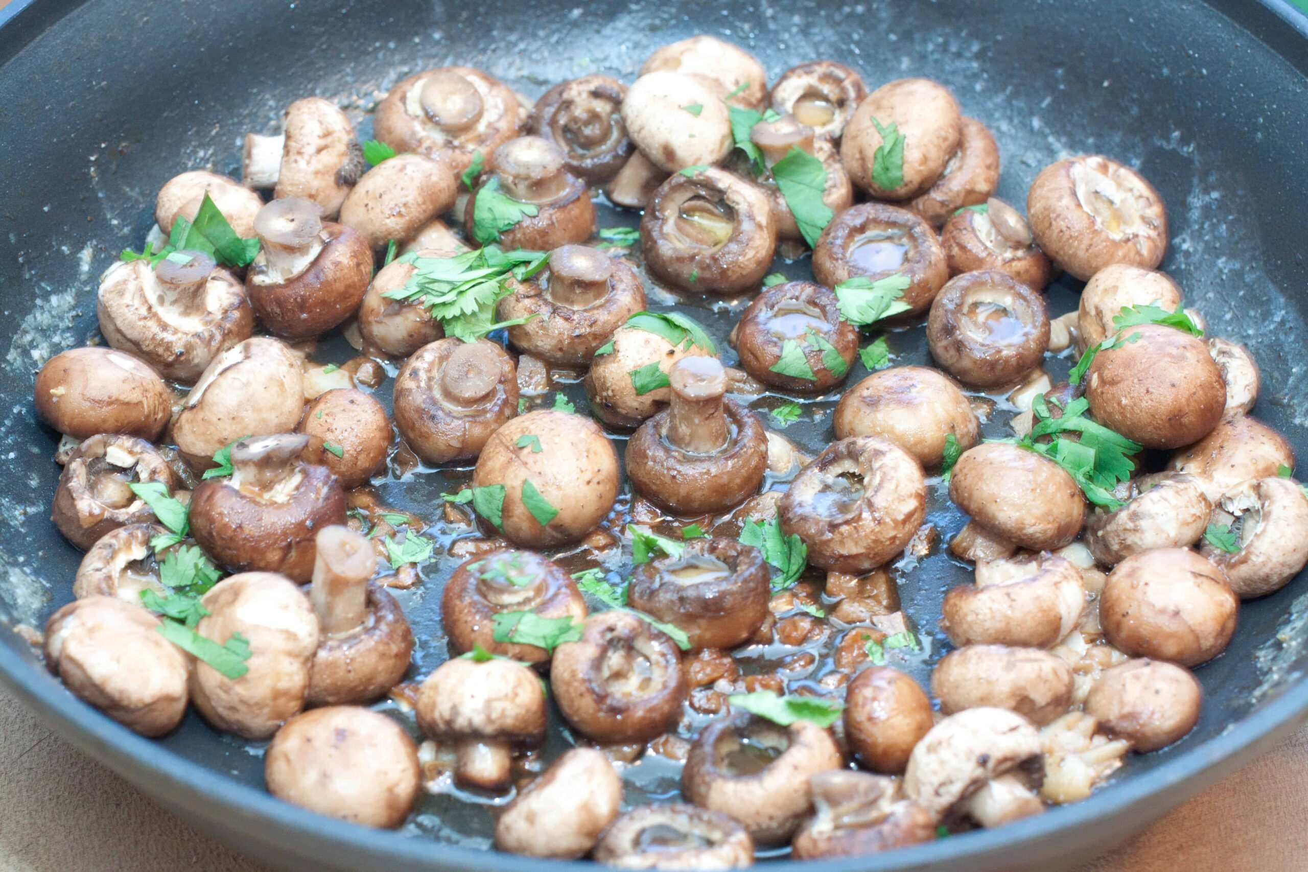 Baby Bella Mushrooms Poisonous at Joann Danford blog