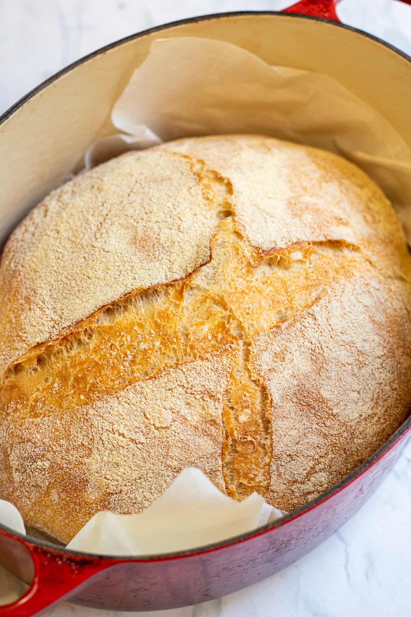 Dan's Como Bread Served From Scratch