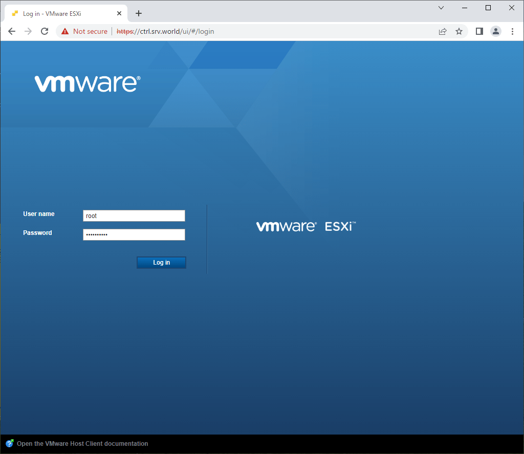 VMware ESXi 7 初期設定 VMware Host Client Server World