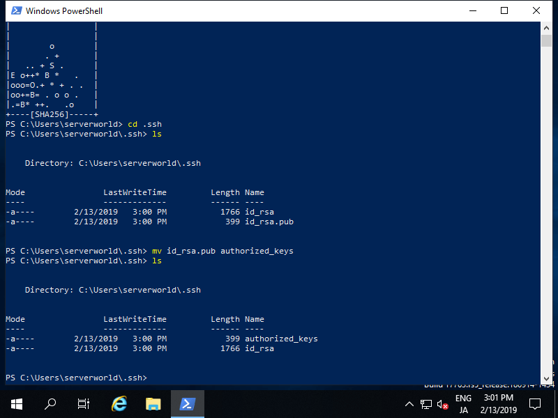 Windows Server 2019 OpenSSH SSH KeyPair Auth Server World