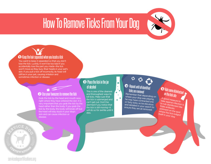 How to remove ticks from your dog Service Dog Certifications