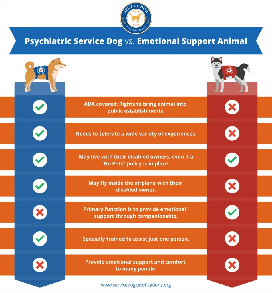 Virginia Service Dog Requirements Service Dog Certifications