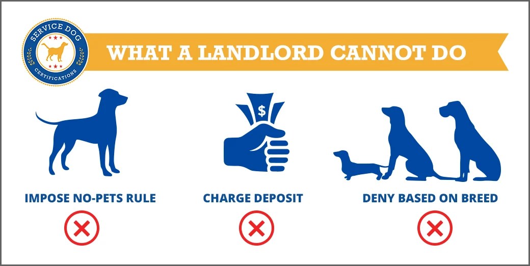 Can Landlords Deny a Service Dog? Service Dog Certifications