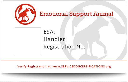 Emotional Support Animal ID Service Dog Certifications