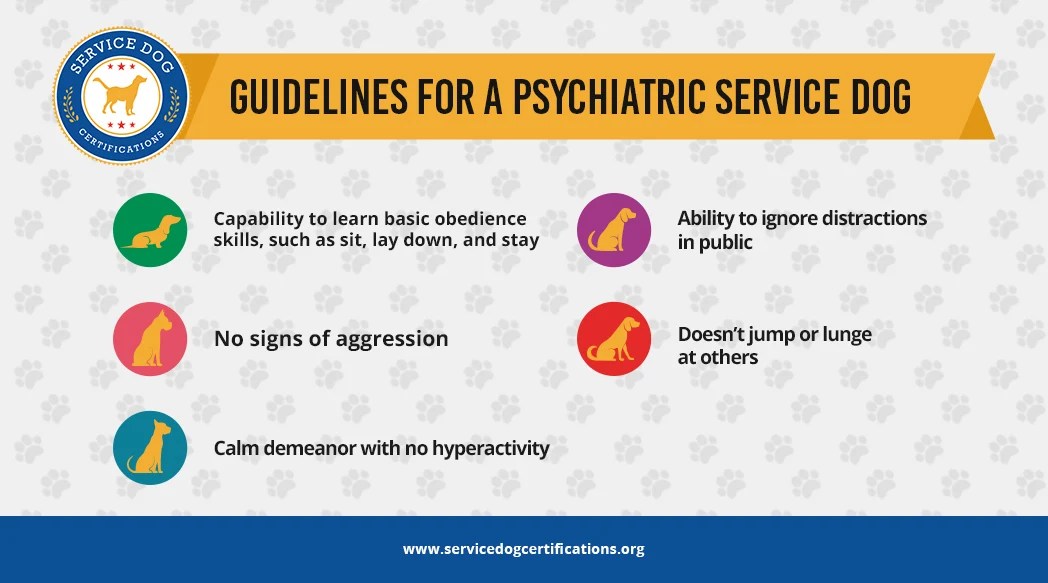 How to Get a Psychiatric Service Dog (PSD) Service Dog Certifications