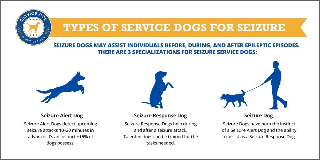 What is a Seizure Alert Dog Service Dog Certifications