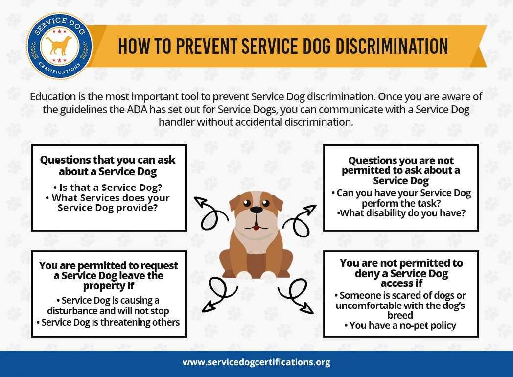 How Do You Get Your Dog Certified As A Service Dog