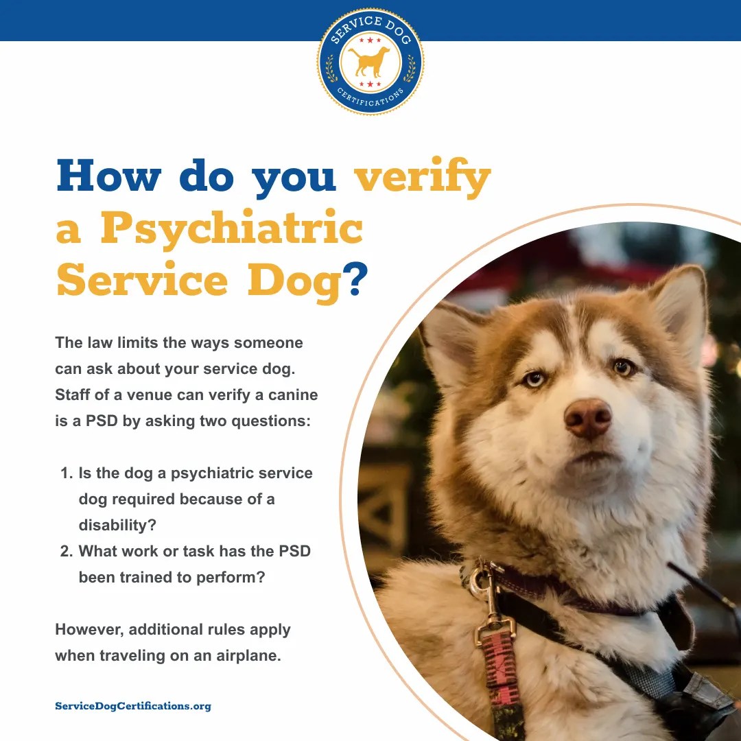 How do you verify a Psychiatric Service Dog? Service Dog Certifications