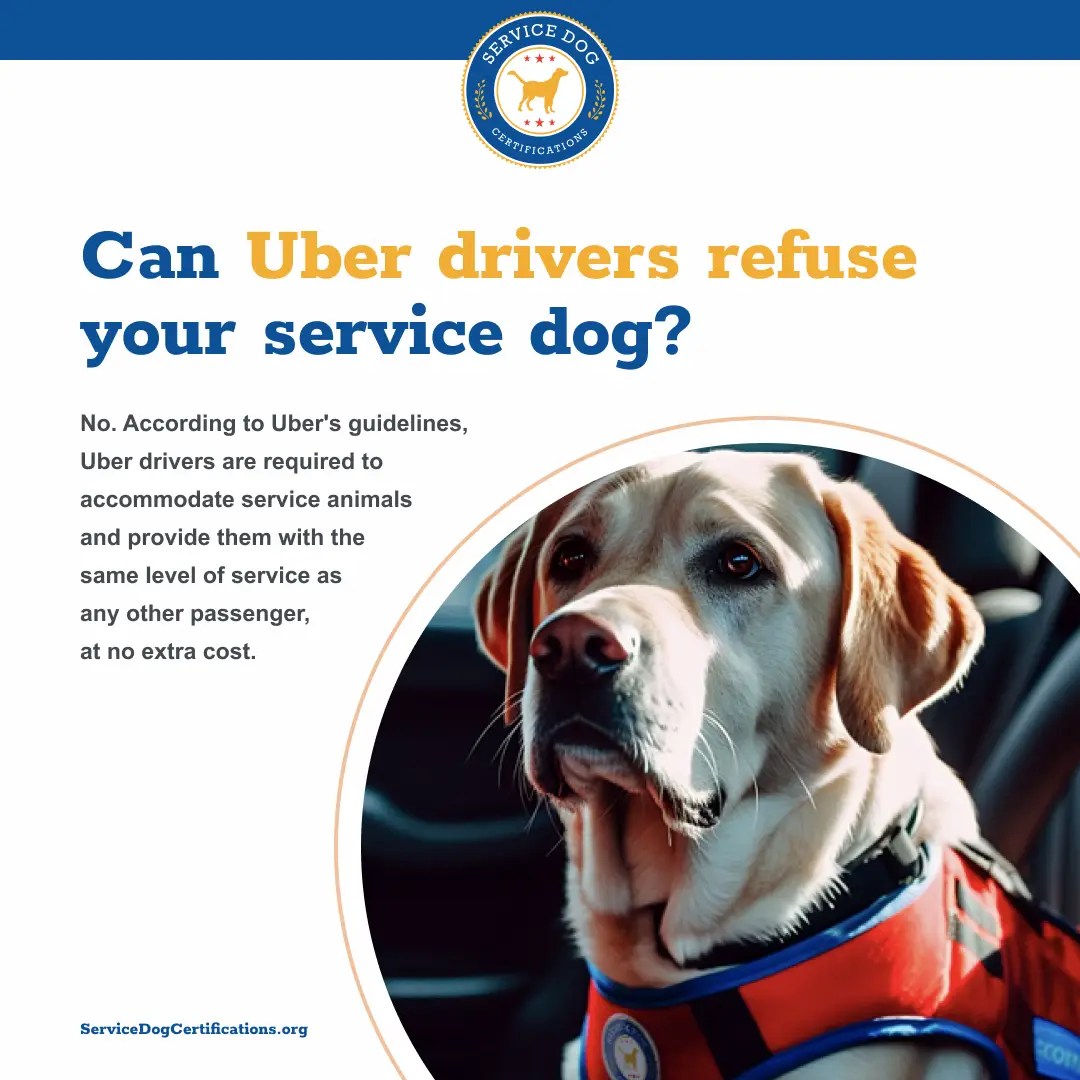 Can Uber Drivers Refuse Your Service Dog? Service Dog Certifications