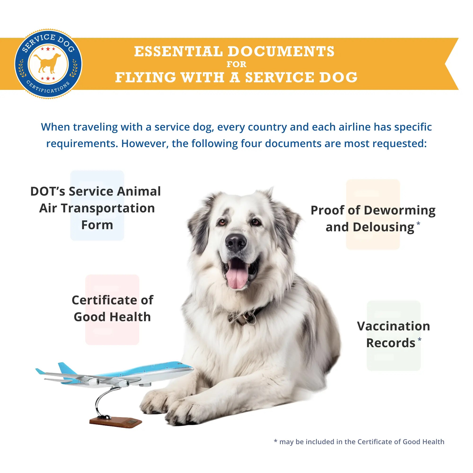 How to Fly with a Service Dog to Mexico Service Dog Certifications