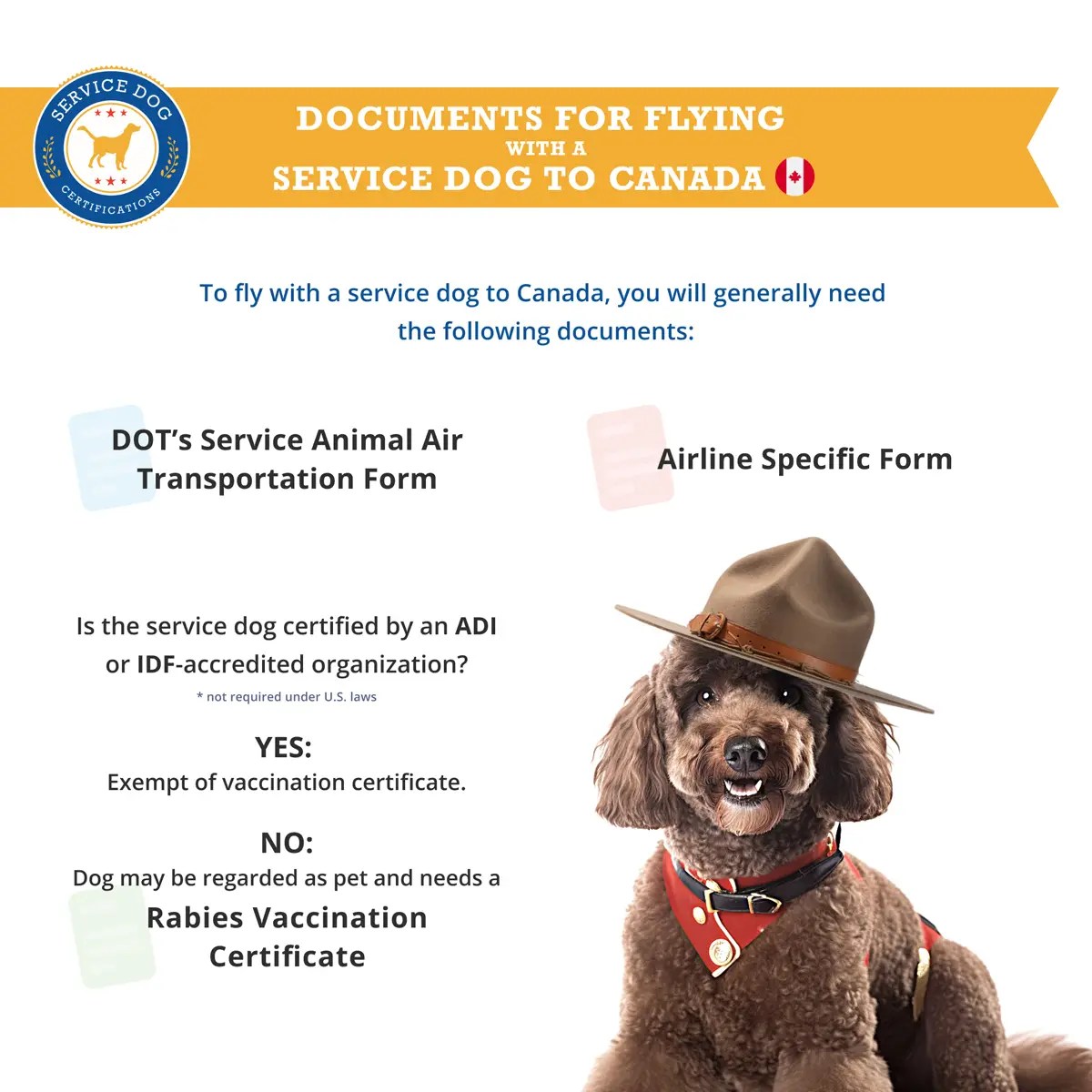 How Do I Bring My Dog From The Us To Canada