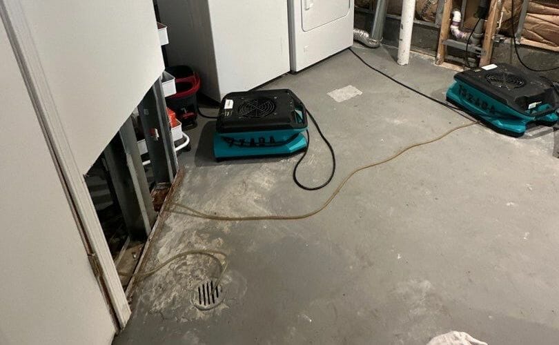 What to do When Your Sewer Backs Up 6 Critical Steps