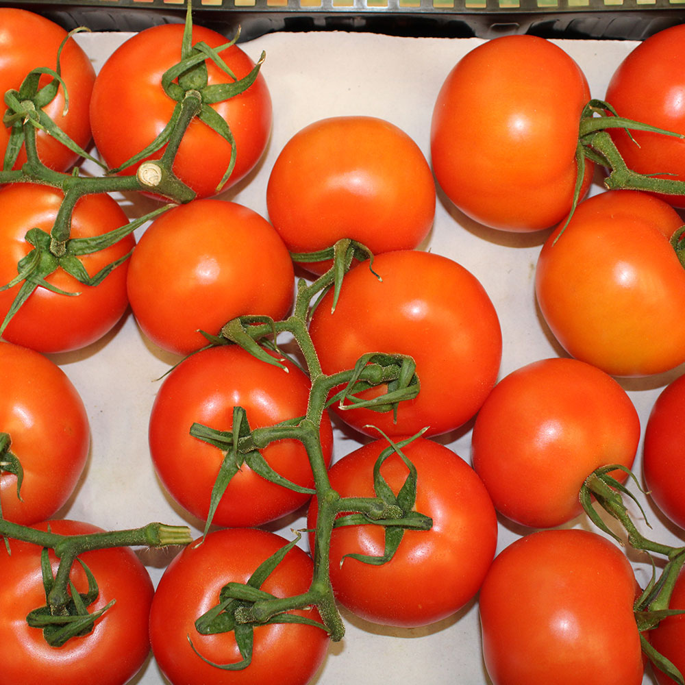 TOMATE RAMA(KG) SERVIFRUTA MADRID