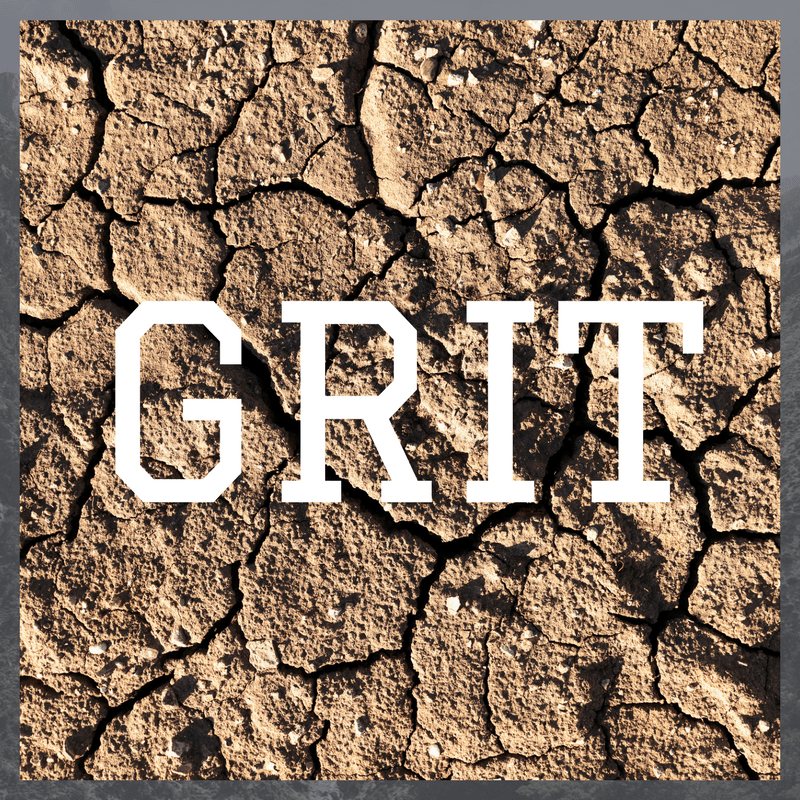 Angela Duckworth Archives - Andrea Goeglein is ServingSuccess