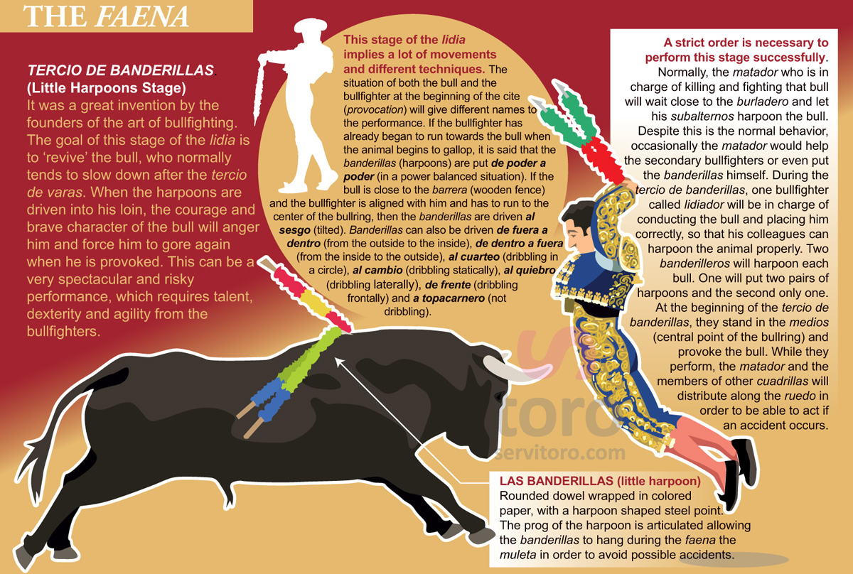 What is a Bullfight? Servitoro