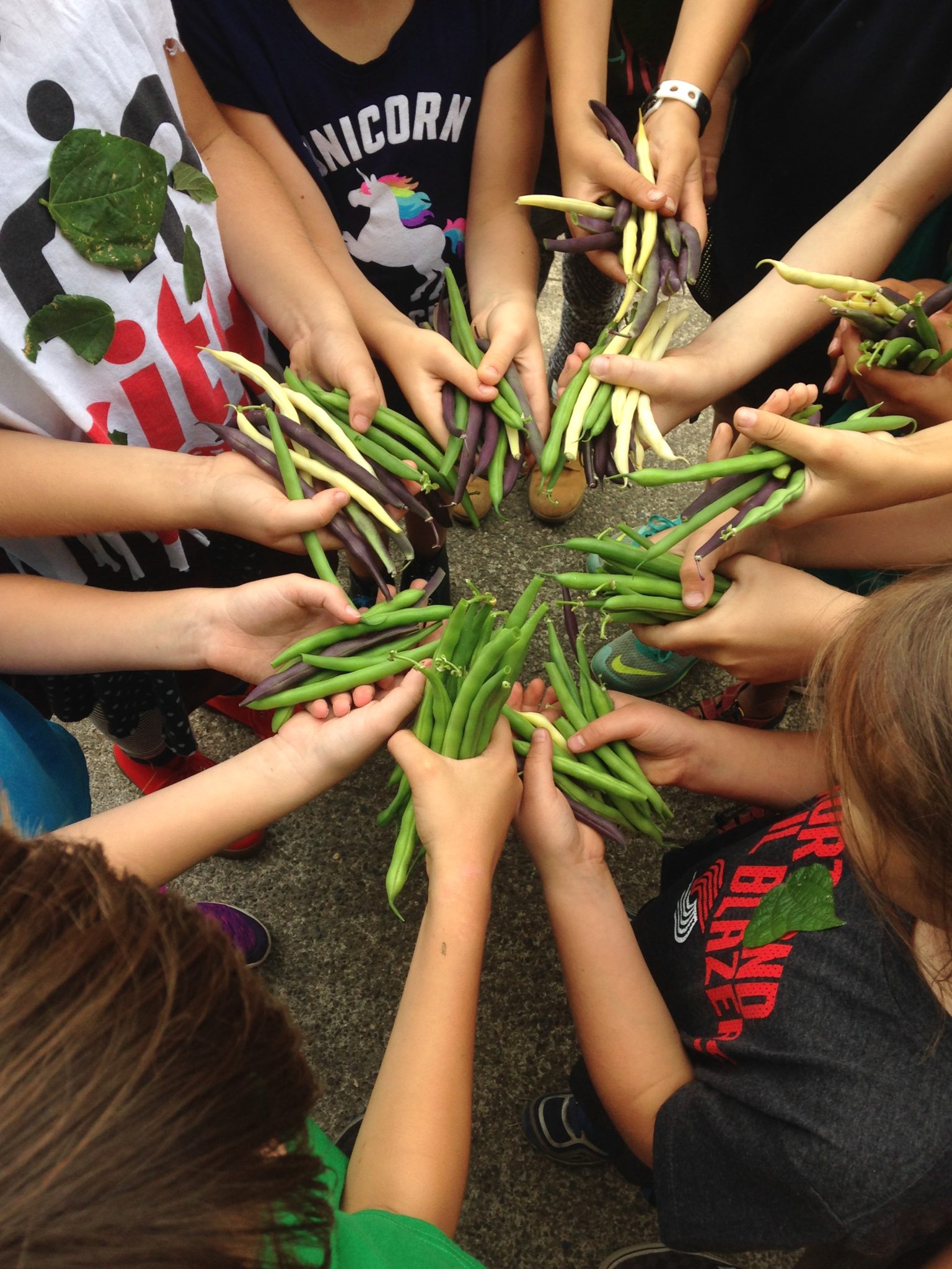 SES PTSA Home Sunnyside Environmental School PTSA