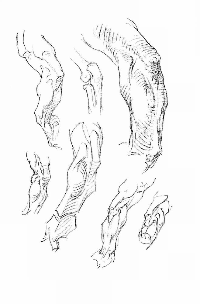 Approaching Anatomy Bridgman