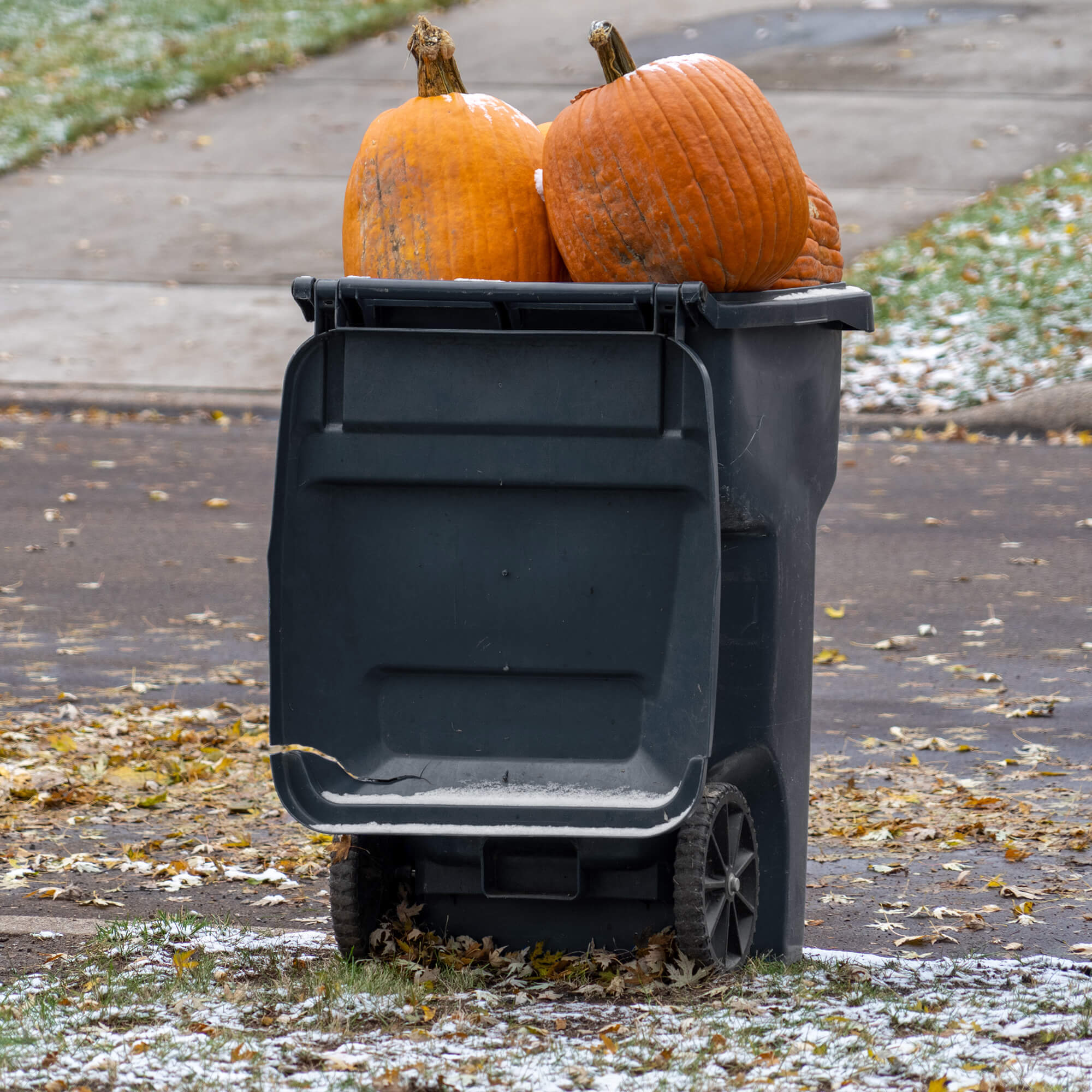 Fall Composting in Minnesota SET & The Mulch Store