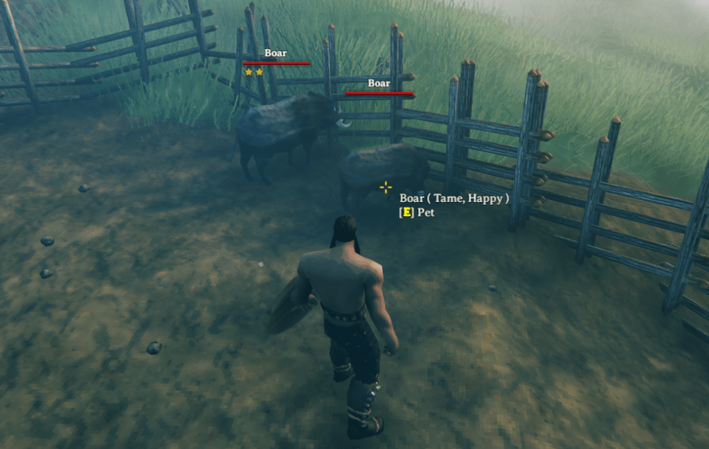How to Tame Boars in Valheim — Set Ready Game
