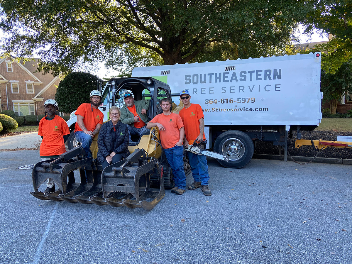Southeastern Tree Service Greenville SC Tree Removal