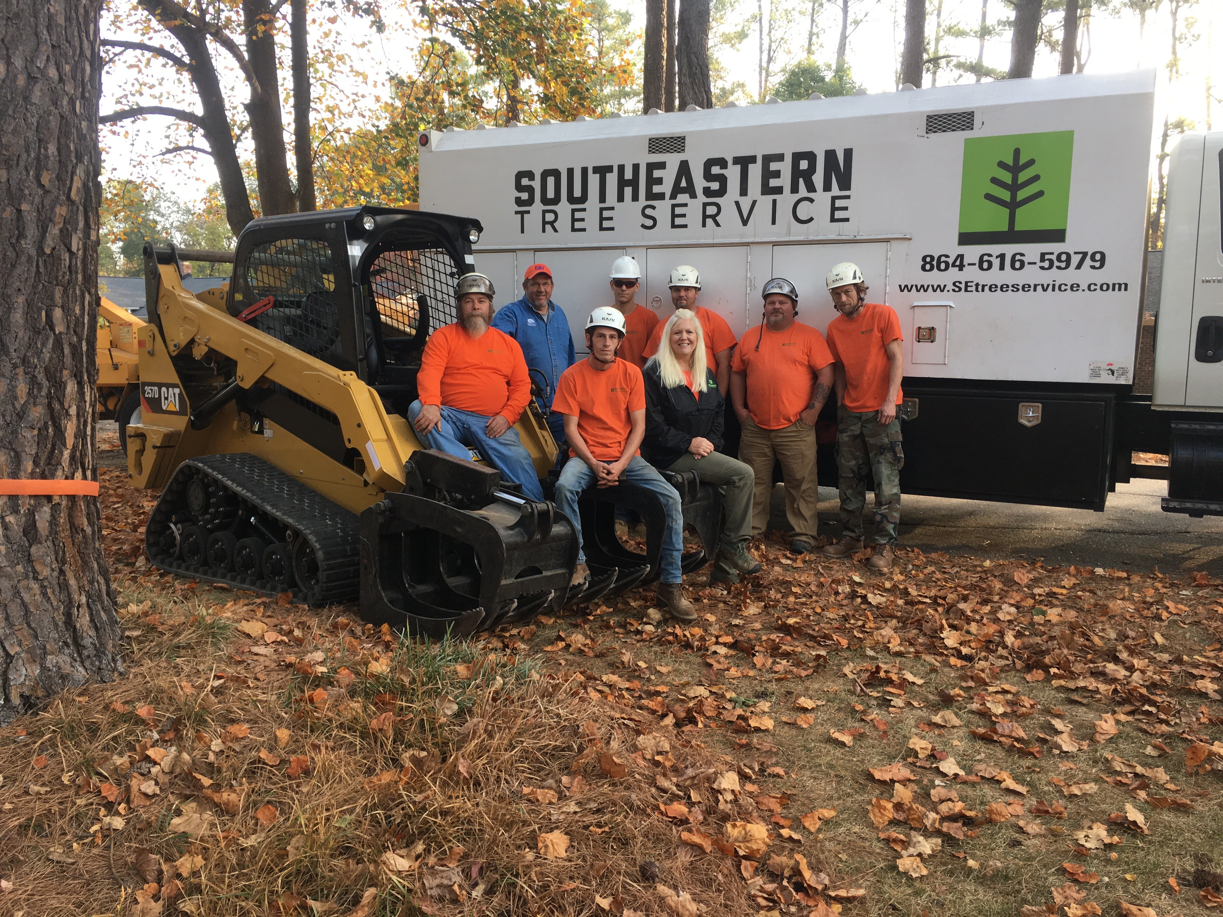Southeastern Tree Service Greenville SC Tree Removal