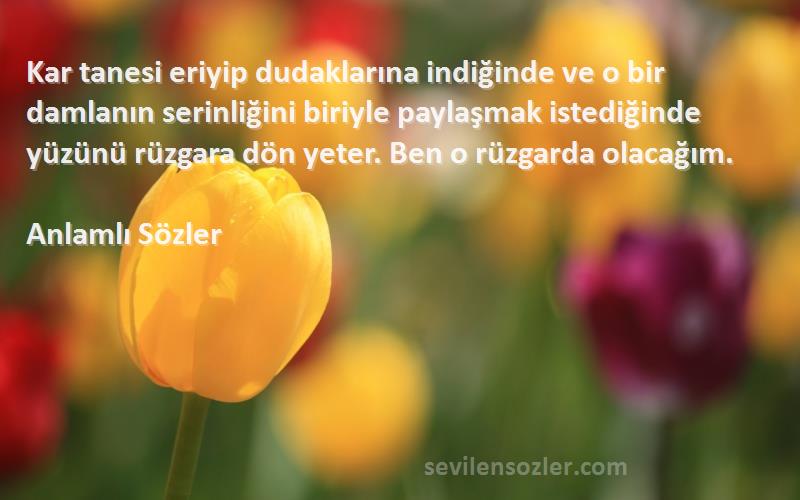 Kar tanesi eriyip dudaklarına indiğinde ve o bir damlanın serinli...