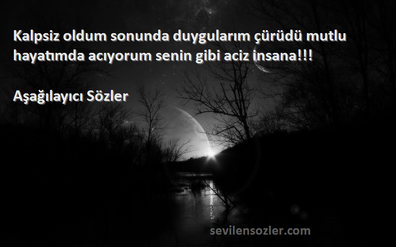 Kalpsiz oldum sonunda duygularım çürüdü mutlu hayatımda acıyorum