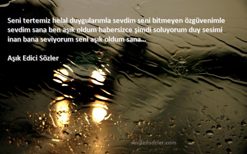 Seni tertemiz helal duygularımla sevdim seni bitmeyen özgüvenimle...