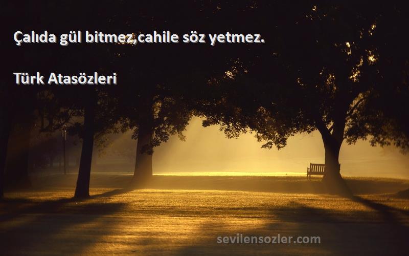 Çalıda gül bitmez,cahile söz yetmez. Türk Atasözleri
