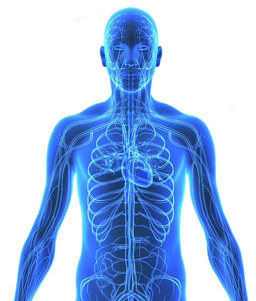 Chiropractor in Sewell, NJ 08080 Broderick Family Chiropractic