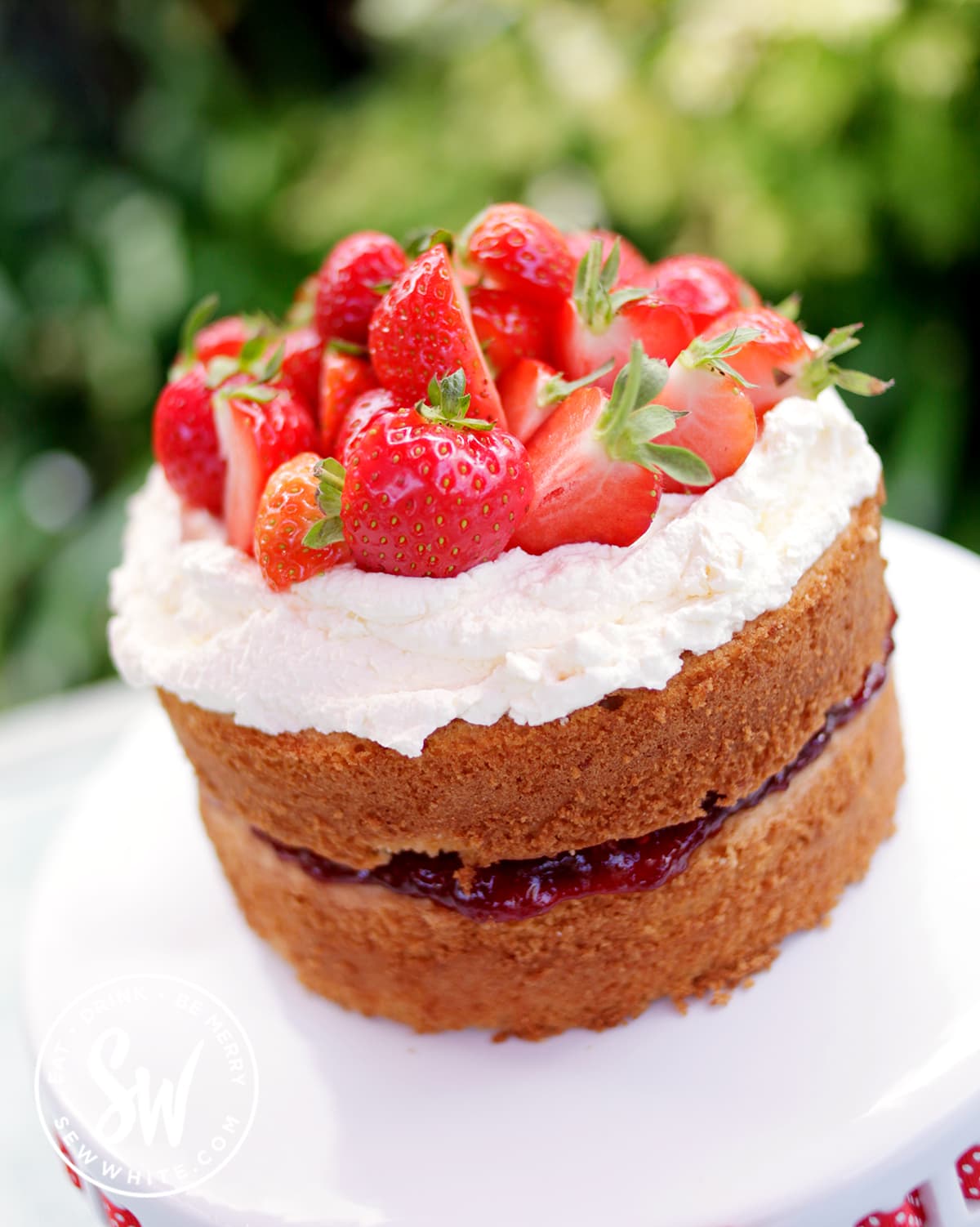 Classic Victoria Sponge with Cream Sew White