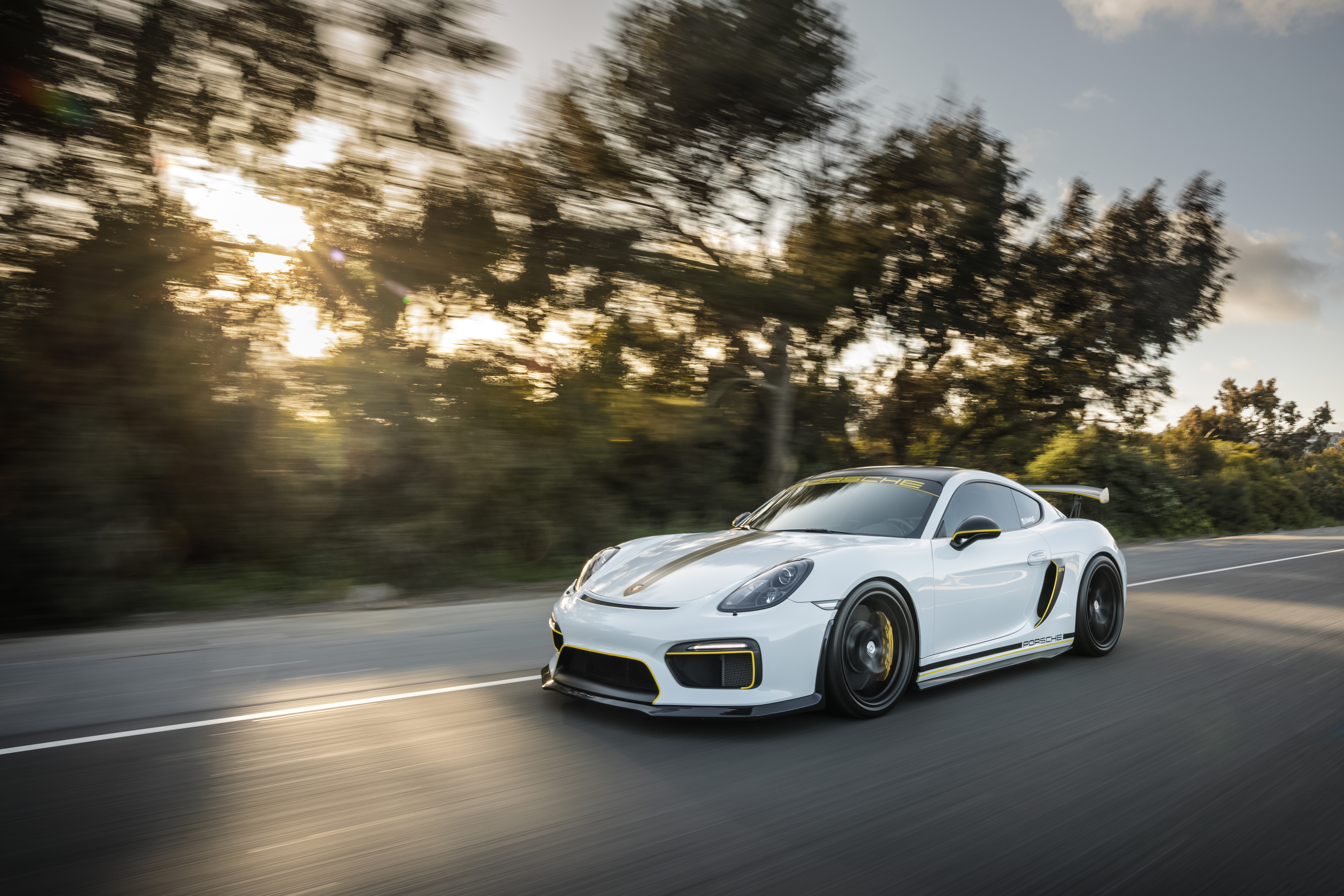 An Exhibit of Porsches San Francisco Auto ShowSan