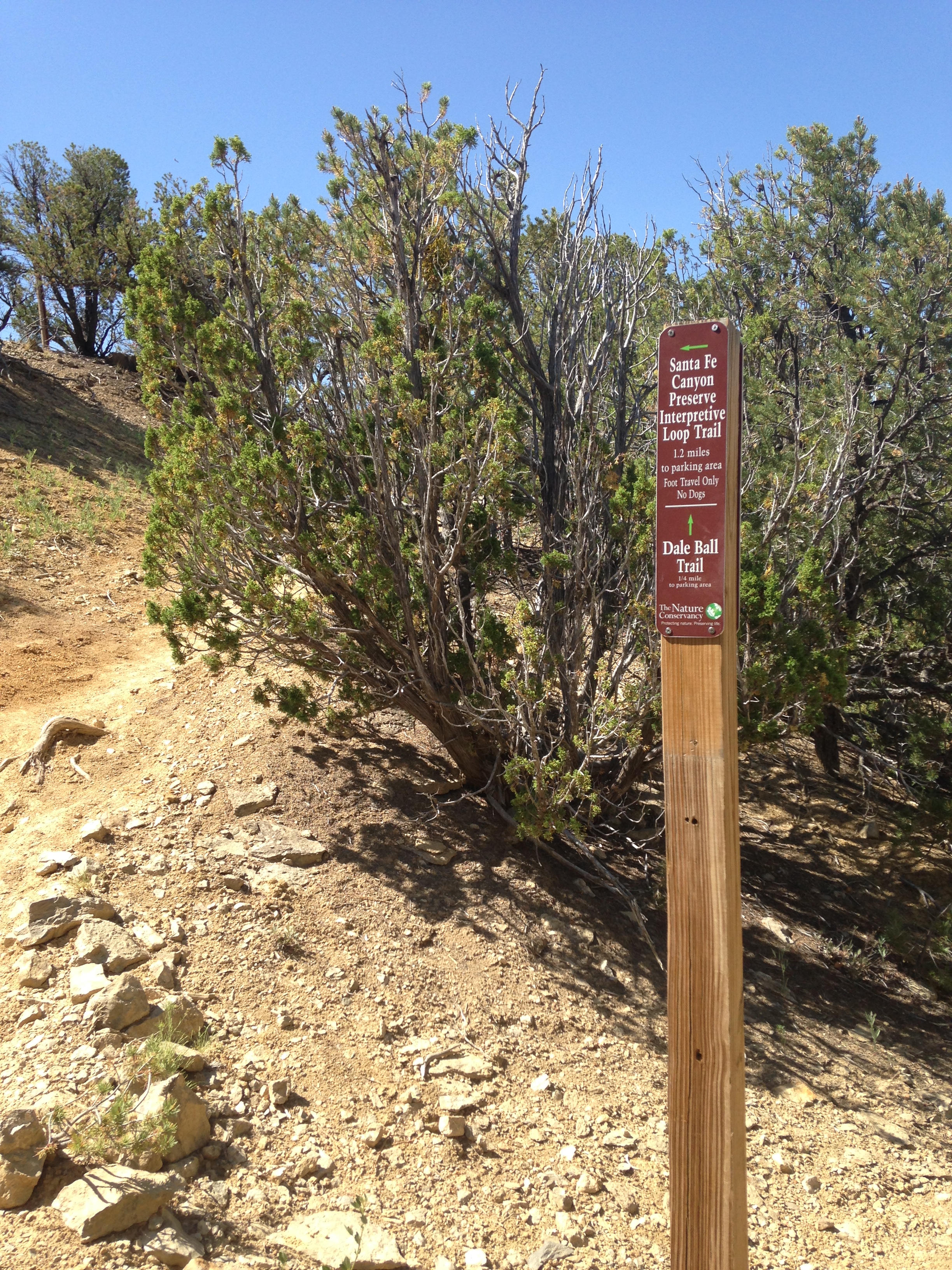 Dale Ball Connector to Cerro Gordo Trailhead, April June Santa Fe
