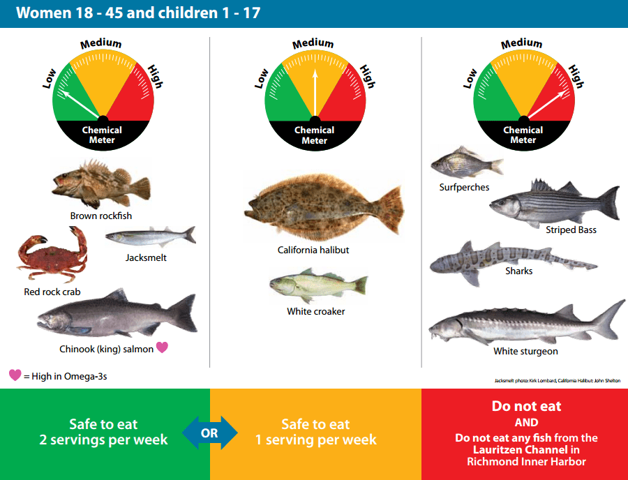 Contaminants in San Francisco Bay Sport Fish San Francisco Estuary