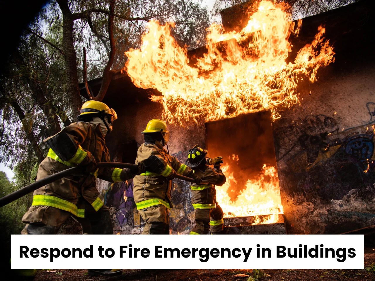 WSQ Respond to Fire Emergency in Buildings RFEB Course(02)